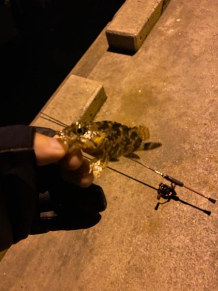 アジング&メバリング