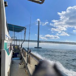 瀬戸内海ジギング