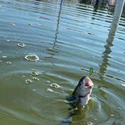 かめプーにて釣り納め