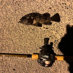 極寒ライトゲーム