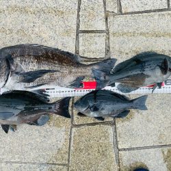 珍しく人がいない翼港