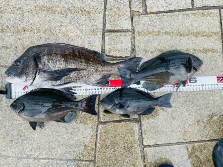 珍しく人がいない翼港