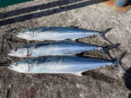 初場所ショアジギ！