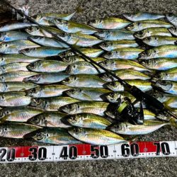 絶好釣アジング