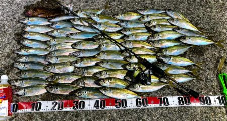 絶好釣アジング