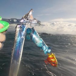 タチウオ最終戦・初タチウオジギング〜盛和丸〜