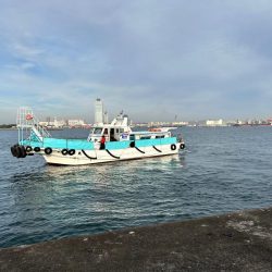 トレジャーハント