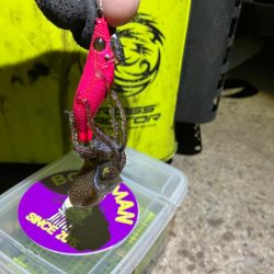 プチ1091ヒイカ釣り(^^)／