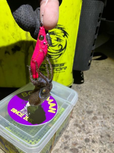 プチ1091ヒイカ釣り(^^)／