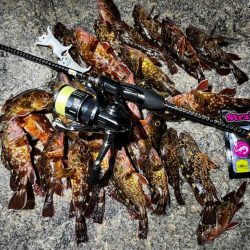 メバリングのはずが。。。