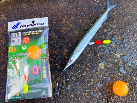 美味しそうなマイワシにゃ！