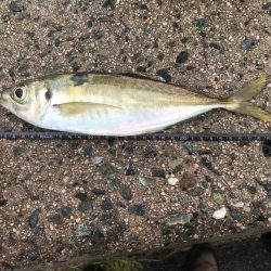 寒い山陰地方❄️