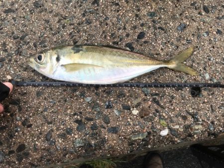 寒い山陰地方❄️