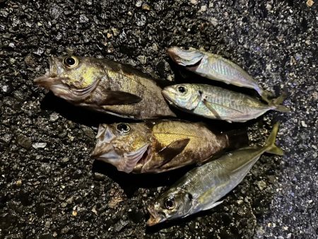 爆風ライトゲーム