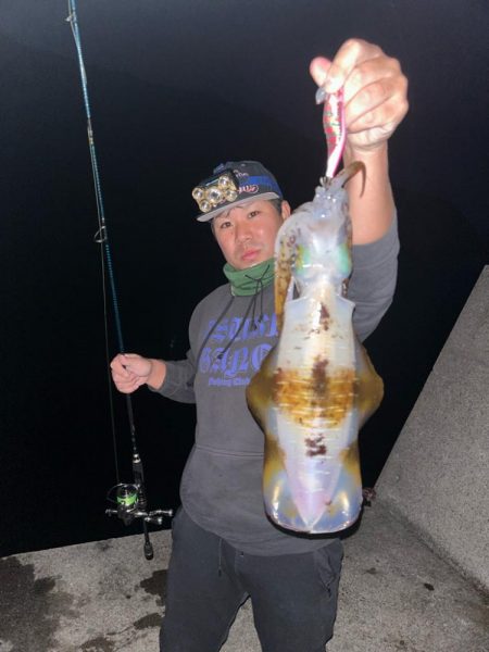 遠征ナイトエギング