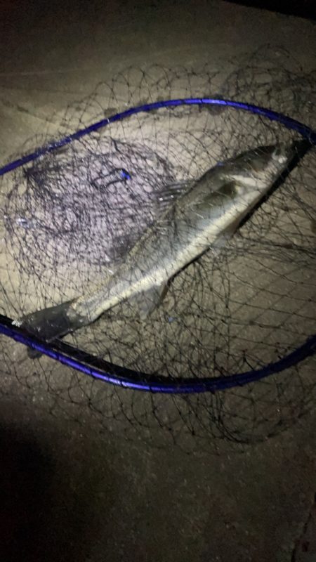 仕事帰りの1時間