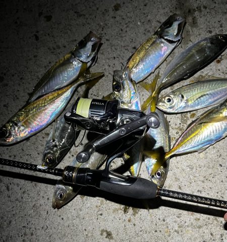 釣り納めアジング🎣