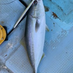 恵比寿丸でジギング