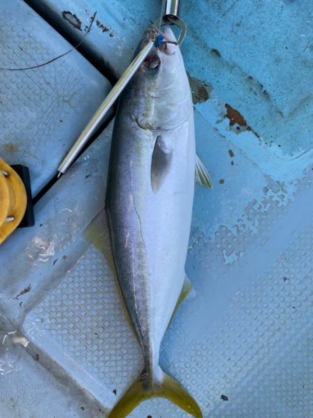 恵比寿丸でジギング