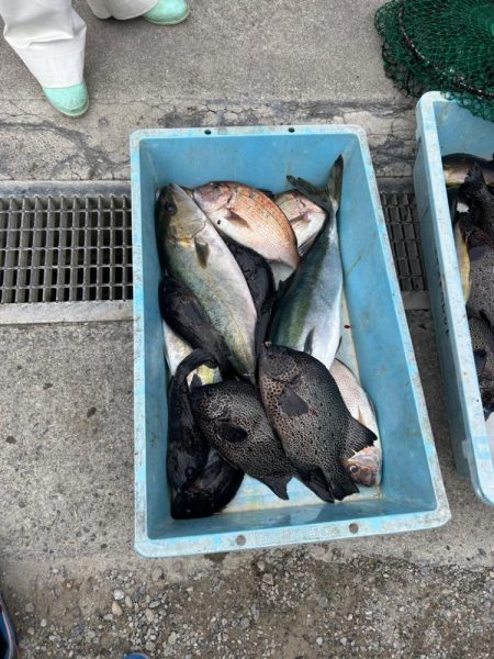 海上釣り堀　傳八屋