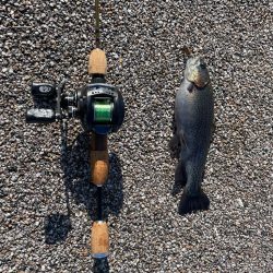 久々の管釣り、初カメプー