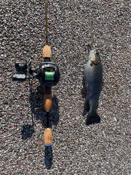 久々の管釣り、初カメプー