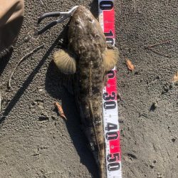 サーフフィッシング