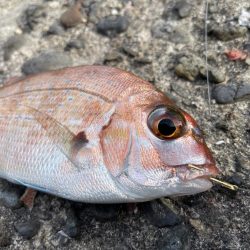 目標達成でいいですよね？