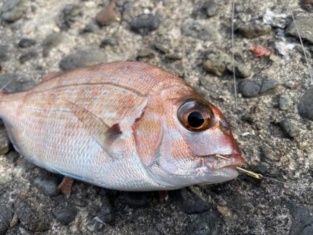 目標達成でいいですよね？