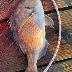 激渋釣り堀(自分のせい)