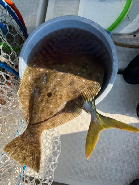 激しぶでもなんとか…