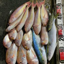 いつものポイントへアマダイ釣行