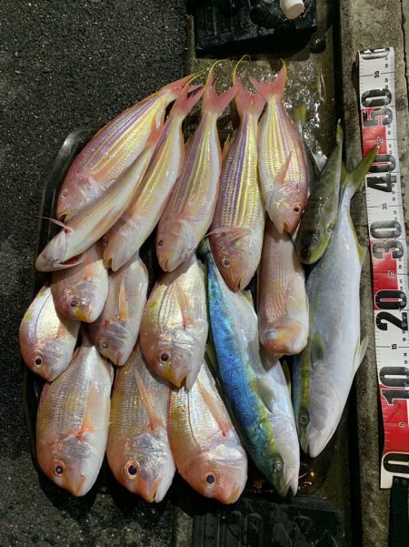 いつものポイントへアマダイ釣行