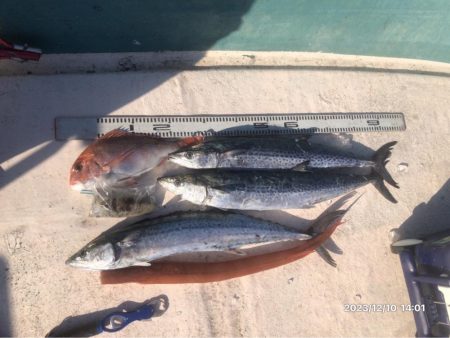 12/10 伊島沖ジギング