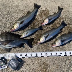 潮位が低く感じる日