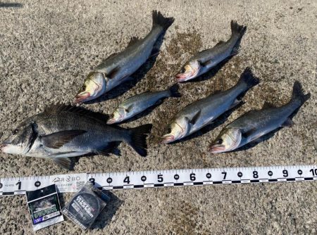 潮位が低く感じる日