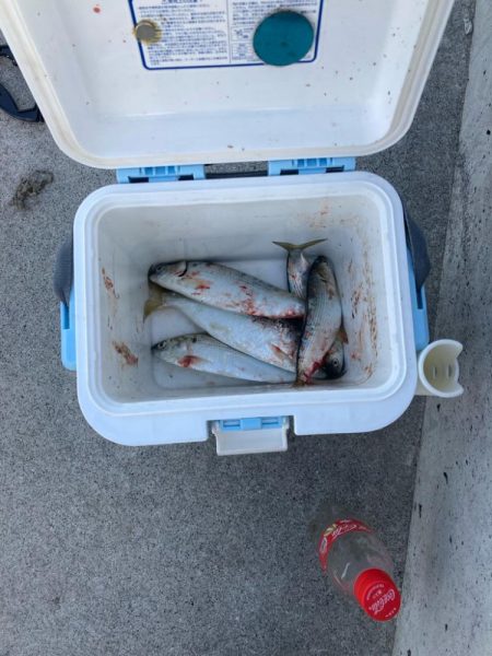 ヒラメ狙いから変更