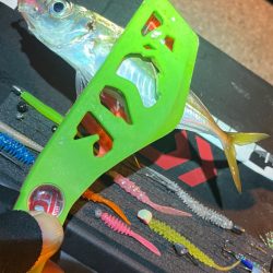 昨晩のヤツ！？