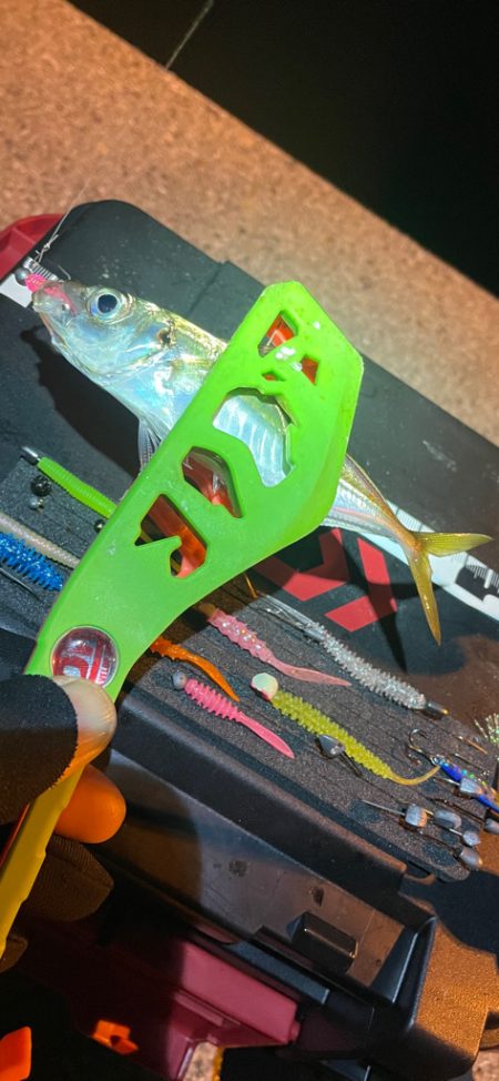 昨晩のヤツ！？