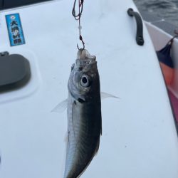 本命ならず(苦笑)