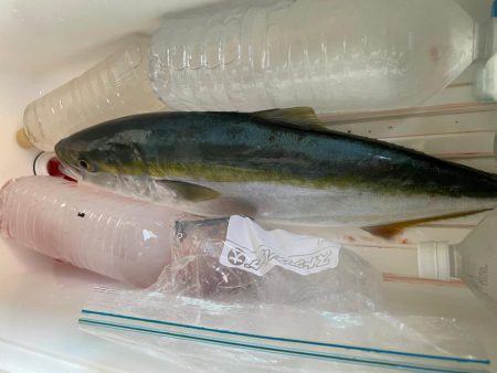 瀬戸内海西側ジギング