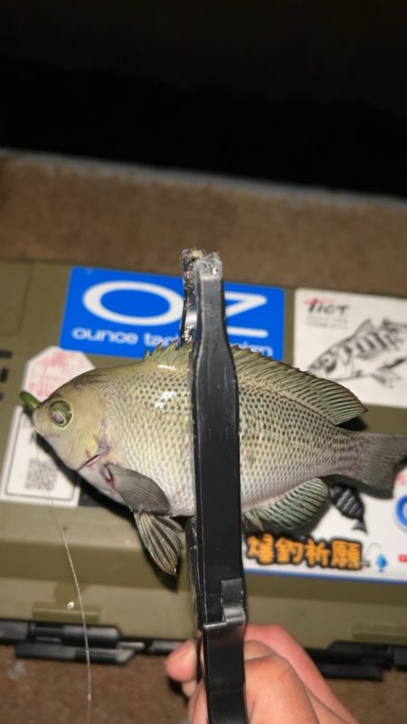 劇寒で1時間釣行