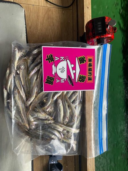 野尻湖ワカサギ釣り