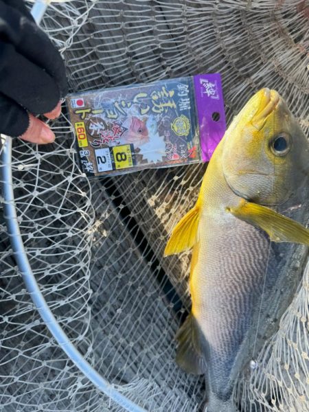 初めての海恵さん