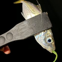 無風快適アジング