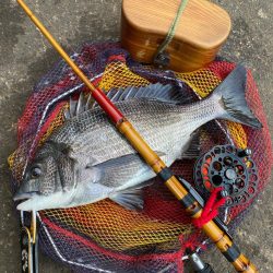 ヘチってきました