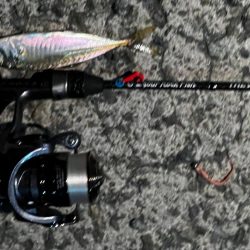 淡路島、爆風アジング