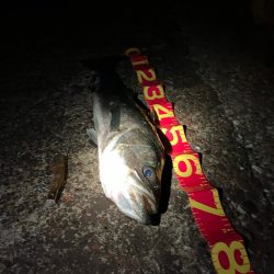 お痩せのようで⁉︎