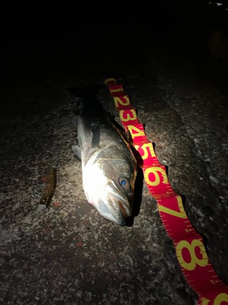 お痩せのようで⁉︎