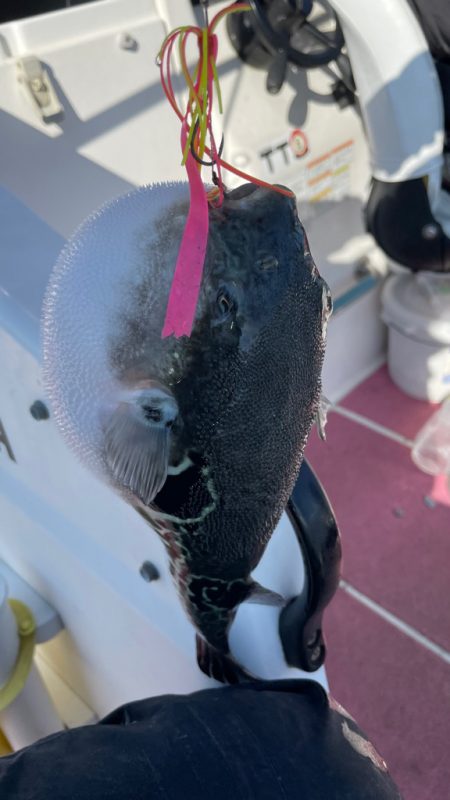 次こそはとリベンジしますが